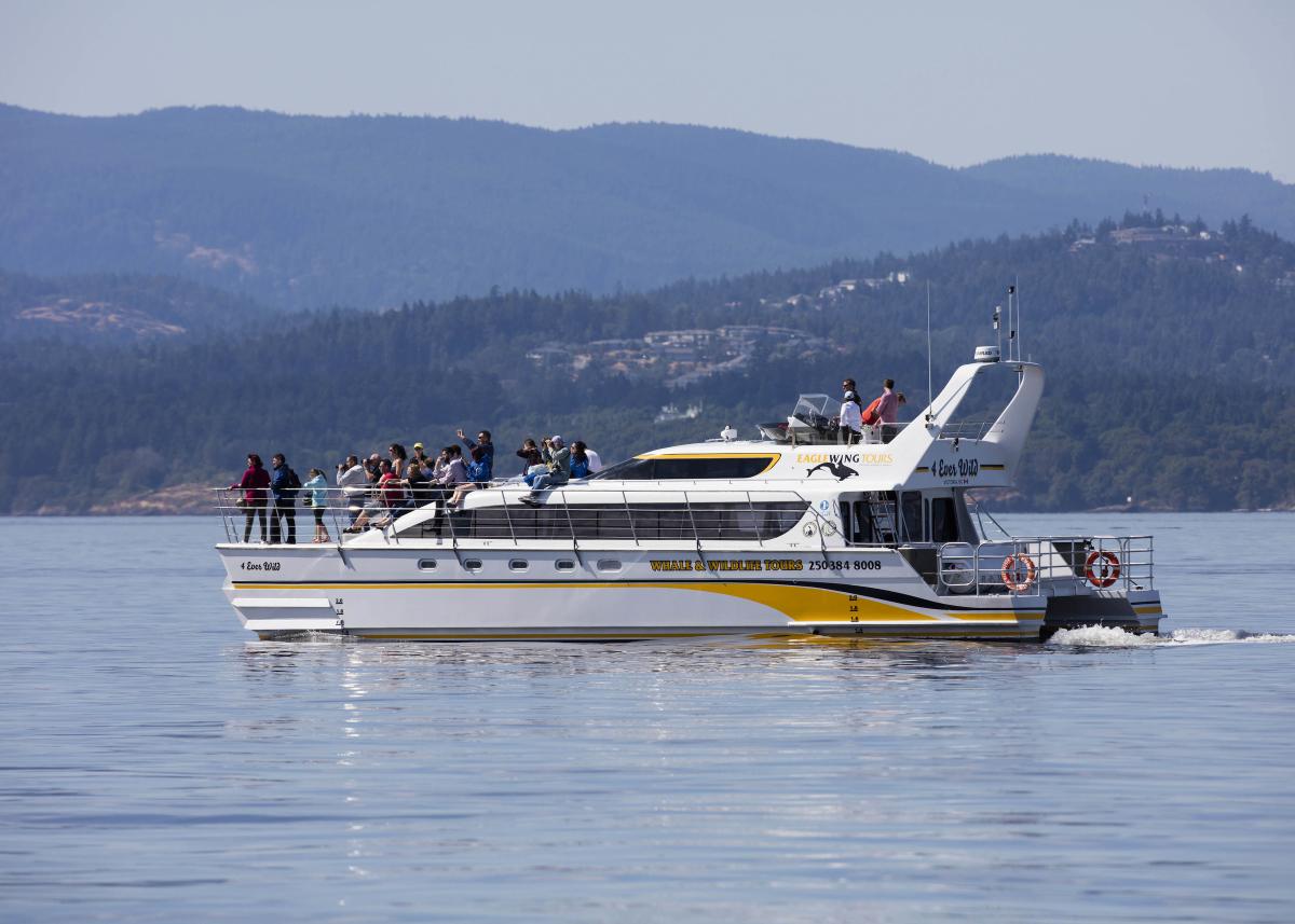Whale watching tour in Victoria, Canada