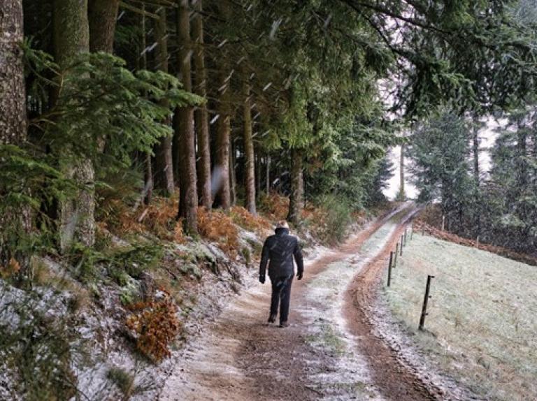 We’ve Been Here Before: What DMOs Learned from the Pandemic to Succeed Today