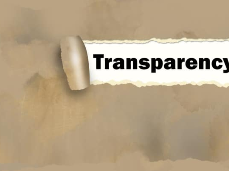 <span>Transparency as a Value and as a Strategy</span>
